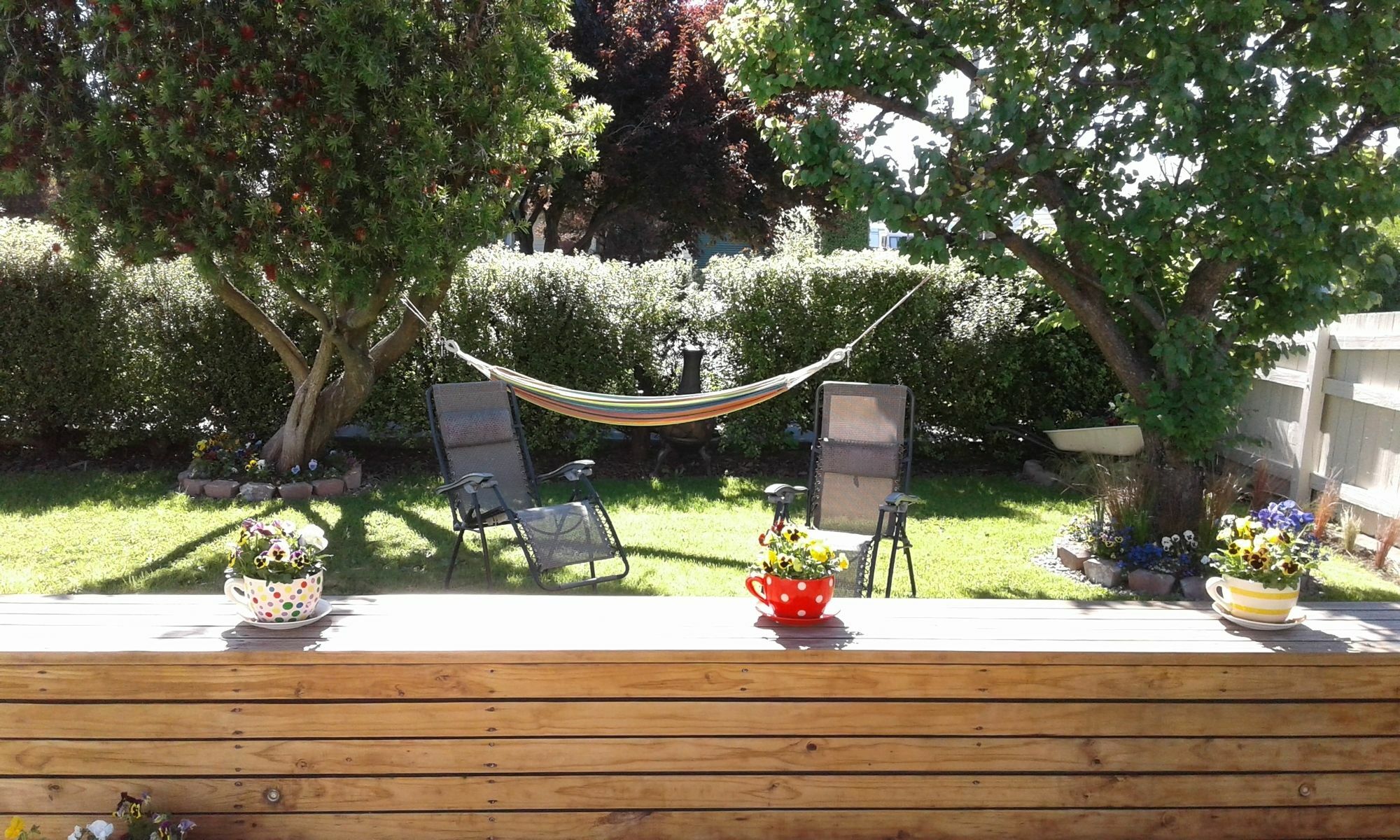 Coeden Cottage Blenheim Extérieur photo