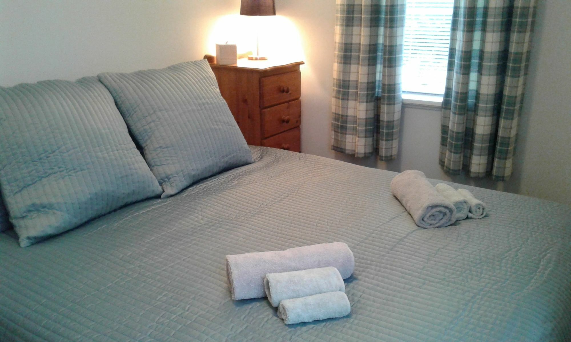 Coeden Cottage Blenheim Extérieur photo